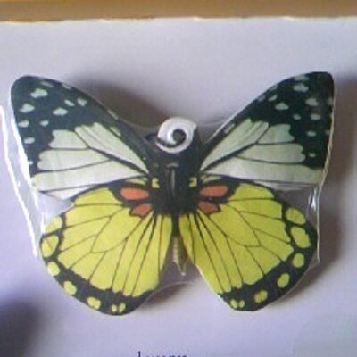 遠藤 綾子 Endooooooooooo9 Twitter