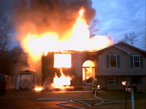 HIPros's profile picture. 