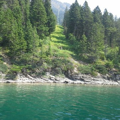 IsmailBendebili's profile picture. 