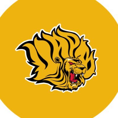 UAPBLionsMBB Profile Picture