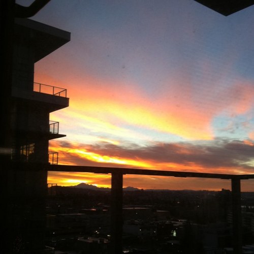 sunyoungcc21's profile picture. 