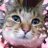みぃーにゃ♂迷子猫のアイコン