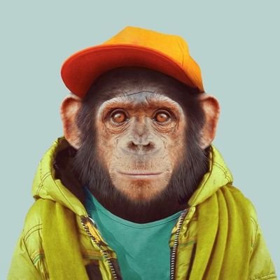 0420Hiraishi's profile picture. 