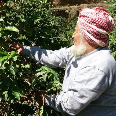 المزرعة الحائزة على المركزالثالث لأفضل مزرعة بن للعام 1441 المزرعة من اقدم مزارع البن وبها اقدم شجرة بن ويقدرعمرها بأكثر من 120 سنةلتواصل 0500377433 0582899935