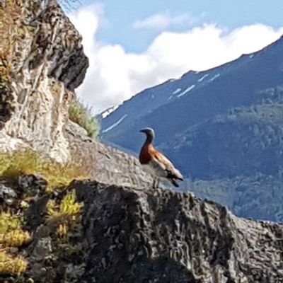 Jorge_l_r's profile picture. 🚹🤓🏨⛑ 💊💉  🚑✌💪
😂 Una vez #MGZ, Siempre #MSB 🤣