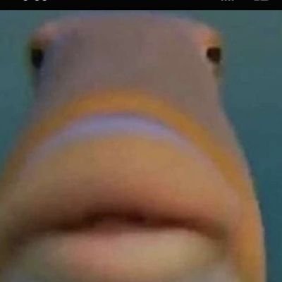 TubTubMCmunch's profile picture. trying to learn new things