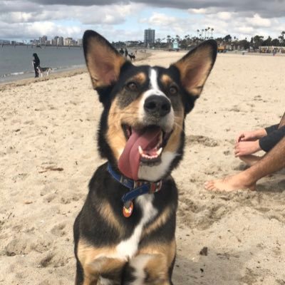 imbananas21's profile picture. 