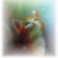 ここ (@coco303km) 's Twitter Profile Photo ここ (@coco303km) 's Twitter Profile Photo