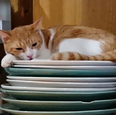 NSTQ3hNnEHduWQ6's profile picture. 最近、推し活に興味があります。

音楽系

筋トレ、ピラティスの個人レッスン希望しています。
  
take a load off funny、take a load for free

当方は60代男性で、港区の資産運用会社のCCOです。

宜しくお願いします。