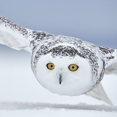 ナオ Qqqwwweee768 Twitter ナオ Qqqwwweee768 Twitter