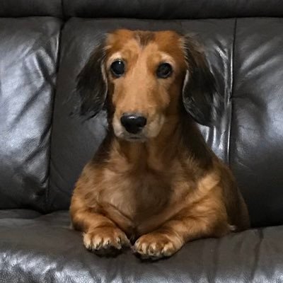 25Showw's profile picture. 