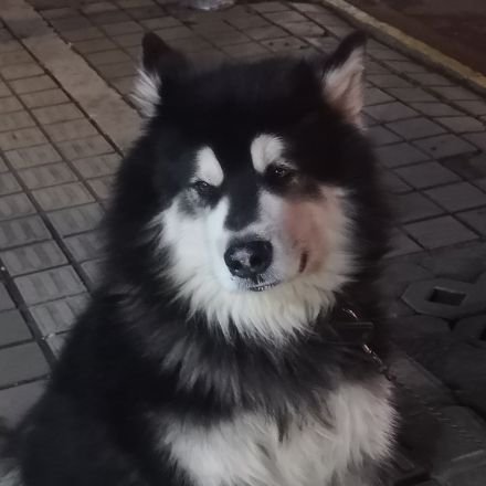 병병_97さんのプロフィール画像