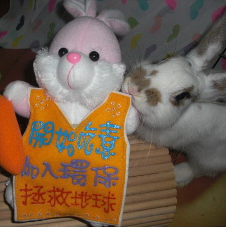 Happygo66's profile picture. I love animals.
I am a vegetarian.