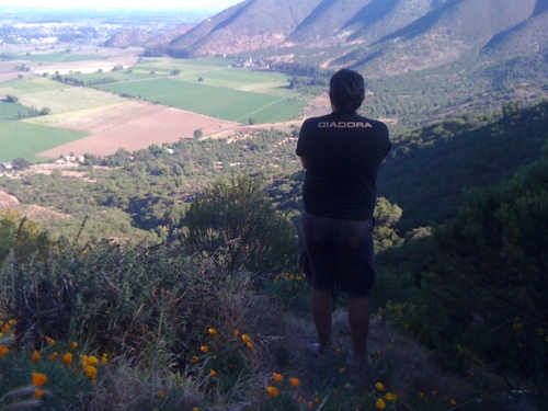 me_pique's profile picture. Quien tiene el pez?