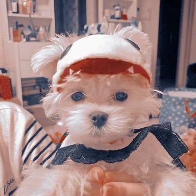 WbEntertainmen7's profile picture. 35 participantes, 5 grupos, 5 rankings, un solo objetivo... cumplir sus sueños