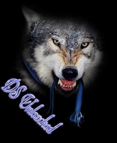 Let Our Auctions Unleash The Beast In You!

Look Out World We are Back!

With a Vengeance

Bringing You The Products You'll Scream For!