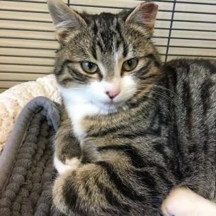 fsyz17's profile picture. Spread positivity and knowledge even a verse. ✨