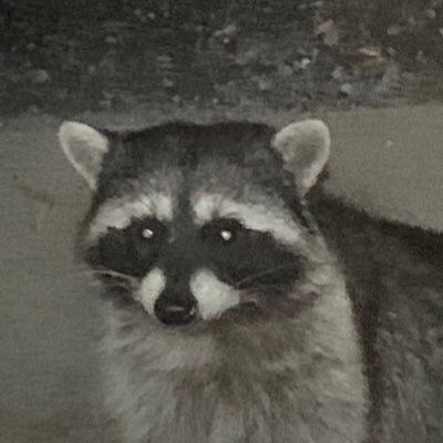 kakasi0718's profile picture. 泉中→中京→中京大 バトスピ ワイルドバウト ベスト16