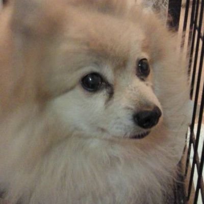 暗闇魂さんのプロフィール画像