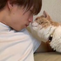 Haru🐱 (@rmpg_itsuki1020) 's Twitter Profile
