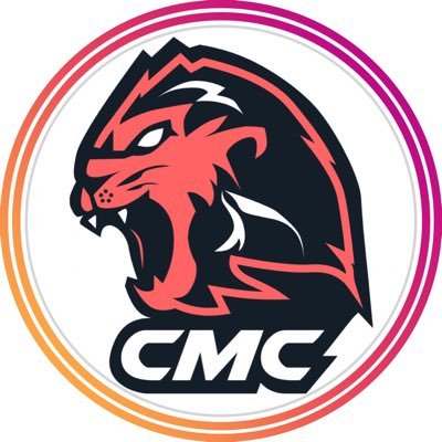 teamcmcbot Profile Picture