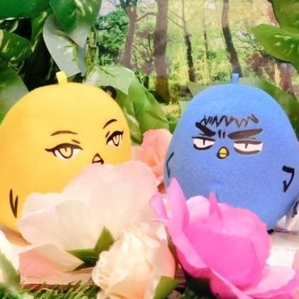 かのたです/取引専用アカウント/20↑/その他詳細はツイフィ御確認お願い致します→https://t.co/olyczx5Hdnツイフィは必読ではありませんが、この内容に沿ってお取引進めておりますので御了承ください/既読の印で♡をつけます。ご不快の場合はお申し付けください⚠喫煙者無し⚠無言フォロー✕＊黒バス海常