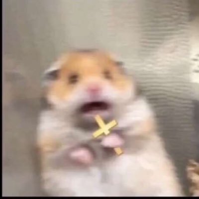 __Jxymo__'s profile picture. When the grass is cut, the snakes will show🐍