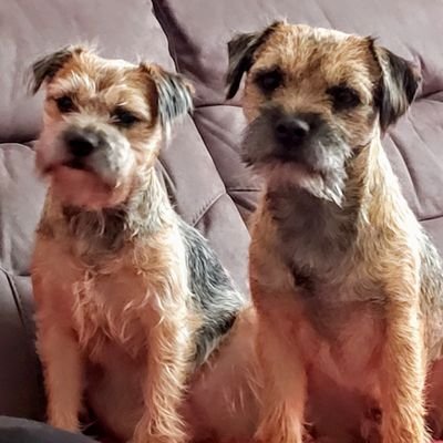 meeky6's profile picture. Life's a party.  Invite yourself