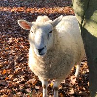 Sarah (@sarah37880899) 's Twitter Profile Photo