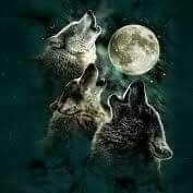 DiegoGalnRico3's profile picture. TODO PARA TODOS Y TODOS PARA TODO