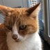 Frodo de rode (@de_frode) Twitter profile photo Frodo de rode (@de_frode) Twitter profile photo