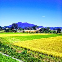 ともや (@tomk8139) 's Twitter Profile