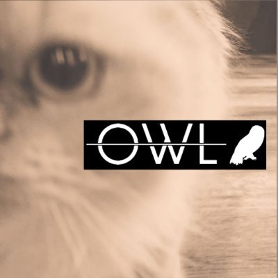 女性スクリームバンド 「Owl」

My favorite genres are
#Screamo #Metalcore #MelodicHardcore  #Djent