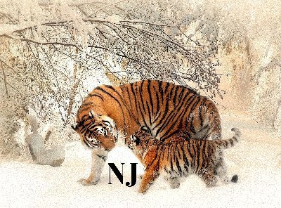 @NotebooksJourn1