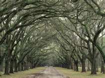 miigwetch18's profile picture. im in hvac,like working with sheetmetal.like to learn.the tec is always changing,new tools,equipment is alway up grading.