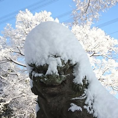 little__joe_'s profile picture. ミュート推奨。エアガンとVAPE。
離れ気味だけどラジコン。