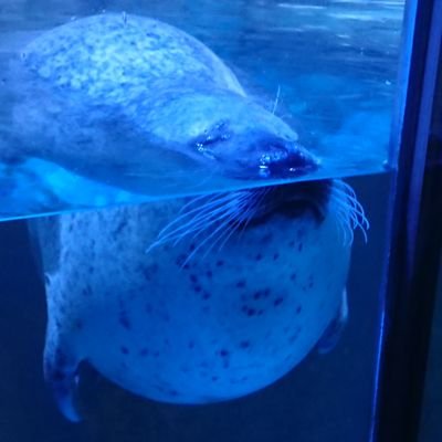 kumato0's profile picture. 遊戯王と千葉ロッテが好きなオタクです。

推しは福浦和也選手と佐藤都志也選手

遊戯王は知人のYouTubeチャンネルに出させて貰ってるので、お暇でしたら是非