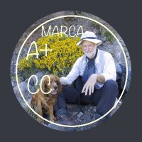 manuel riesco (@mriesco) 's Twitter Profile Photo