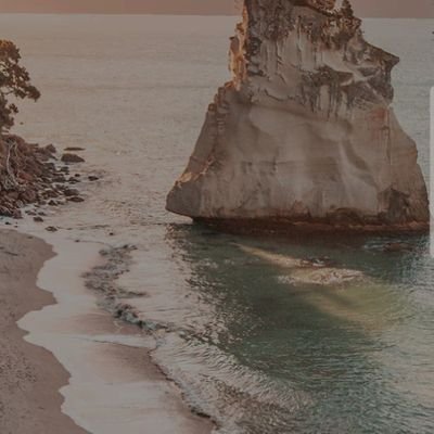 Krystle82165302's profile picture. 