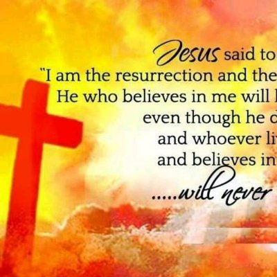 malckkorta's profile picture. 