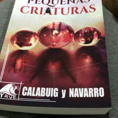 Calabuig y Navarro son dos autores que publican juntos bajo este sello. Lo suyo son las novelas policíacas. Un crimen. Una investigación. Un enigma.