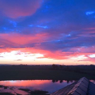 Dickdoc123's profile picture. General Practitioner