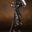 vikram - @vik_ram5 - Twitter