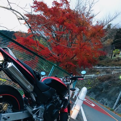 yashima_sub's profile picture. 紙用
GPフシンシャ 13-2 Top8