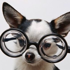 zhgunov's profile picture. 