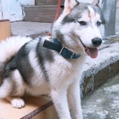 JJ_chaewon's profile picture. De La Salle University Faculty of Nursing. I'm not Perfect but Limited Edition. I Love My Self n My Hobby's Dancing,watching tv expecially Korean the Series.