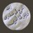 alsalamah1960's profile image