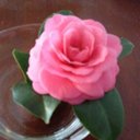 Phyllis Johnson - @mrsphjohnson - Twitter