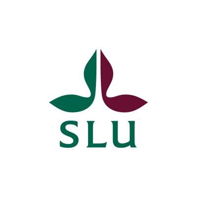 The Division engages in international research, teaching and cooperation that contributes to scholarship, policy and practice in the Global North and South.