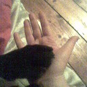 Julie anne  carleton - @saoirsenoinni - Twitter